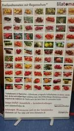 03.webp