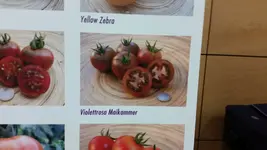 04.webp