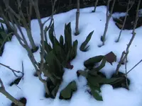 BILD9051.JPG