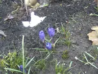 BILD9046.webp