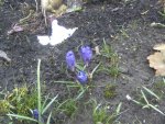 BILD9046.JPG