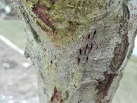 IMG_20180326_134447.webp