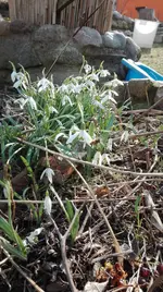 IMG_20180325_143027.jpg