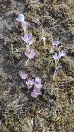 IMG_20180325_142822.webp