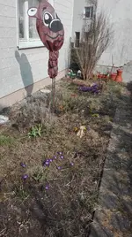 IMG_20180325_142729.jpg
