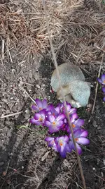 IMG_20180325_142642.jpg