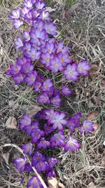 IMG_20180325_142633.jpg