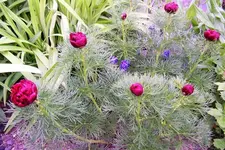 image003.webp