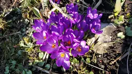 20180324_163021.webp