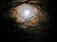 2015-Weihnachtsmond_001.webp