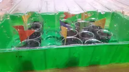 20180328_184533.webp