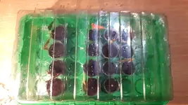 IMG-20180328-WA0008.webp