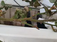 2018-03-27 19.13.32.webp