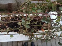2018-03-27 19.13.19.webp