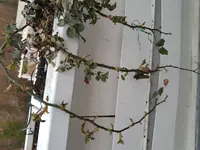 2018-03-27 19.12.36.jpg