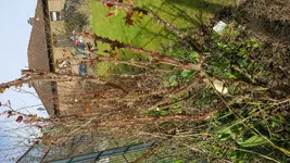 20180330_102157[1].jpg