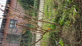 20180330_102211[1].jpg