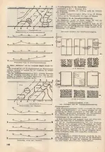 Gartenbauwirtschaft-Folge 6-1965-3.webp