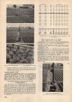 Gartenbauwirtschaft-Folge 6-1965-5.jpg