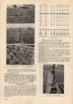 Gartenbauwirtschaft-Folge 6-1965-5.webp