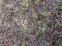 20180330_145626.webp