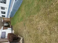 20180330_145646.webp