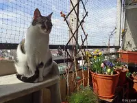 c011.webp