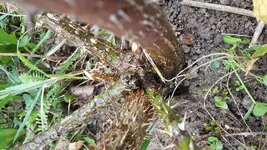 20180401_085701[1].webp