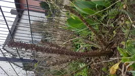 20180401_085722[2].jpg