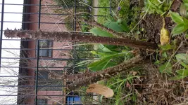 20180401_085736[1].jpg