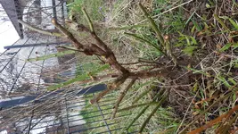 20180401_090002[1].jpg