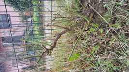 20180401_085946[1].webp