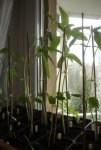DSC09651.jpg