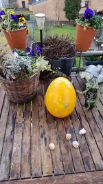IMG-20180401-WA0002.jpg