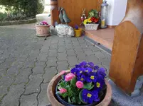 DSC02667.webp
