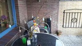 IMG-20180330-WA0021.webp