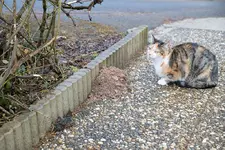 Erdhuegel1.webp