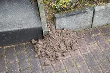 Erdhuegel2.webp