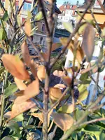 IMG_20180403_185758.webp