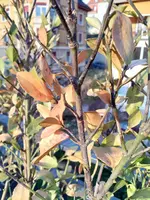 IMG_20180403_185830.webp