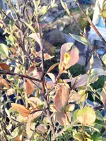 IMG_20180403_185839.webp