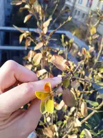 IMG_20180403_185855.webp