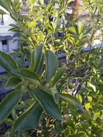 IMG_20180403_185908.webp