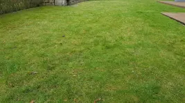 20180402_095142.webp