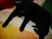 IMGP6011.webp