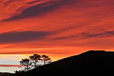 IMG_6872v (2).webp