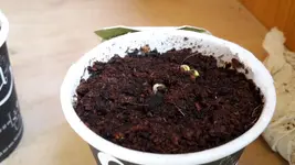 20180404_094619.webp