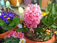 c022.webp