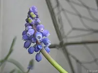 c023.webp