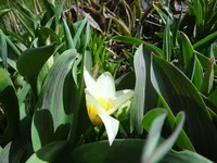 DSC02678.webp